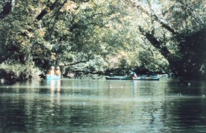 Cannoeing a river