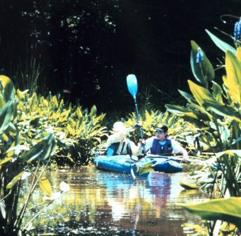 Guys Paddling